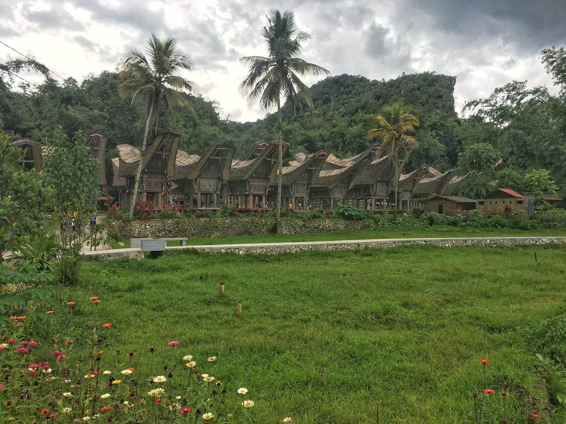 Deretan rumah adat Tongkonan di Toraja, Sulawesi Selatan